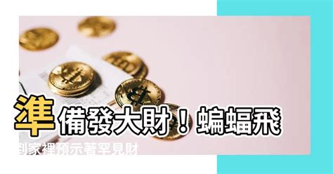 蝙蝠飛到家裡代表什麼 水剋金